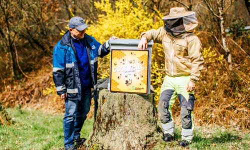 Nachhaltige Allianz mit den Bienen