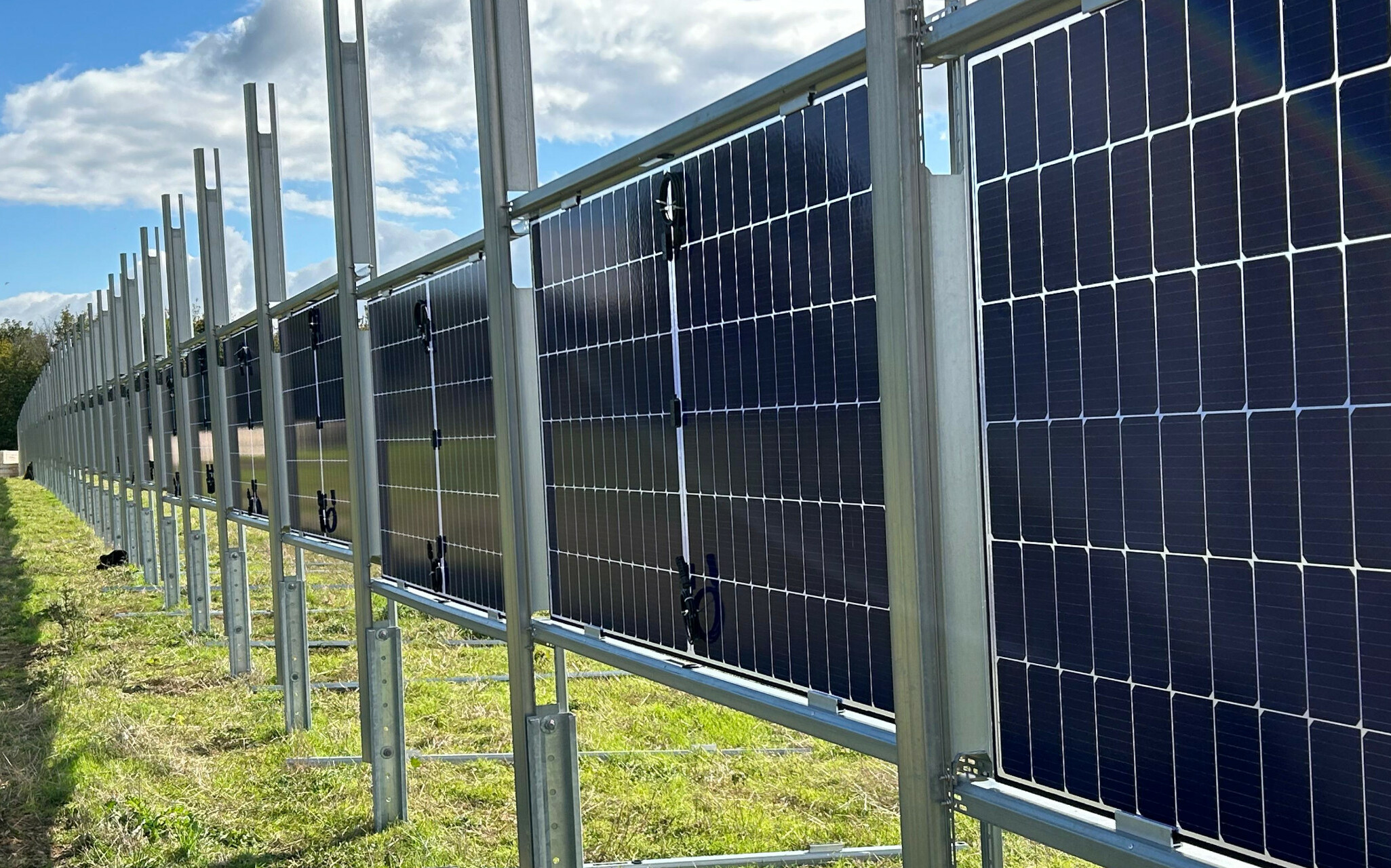 Agri-PV Anlage Merchingen/Brotdorf mit Pascal Malburg Teil 3